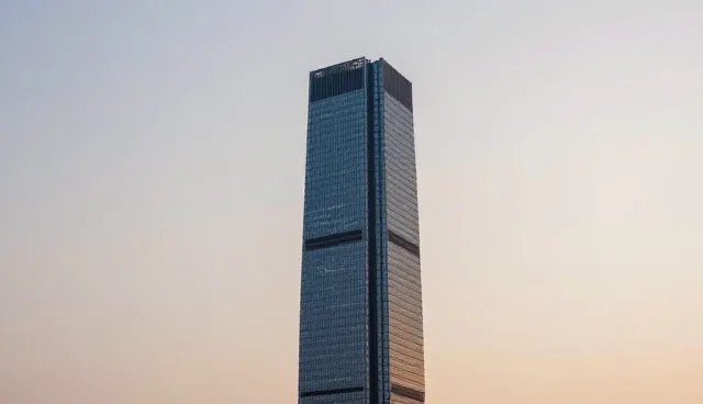 定制软件开发适用情况与限制分析